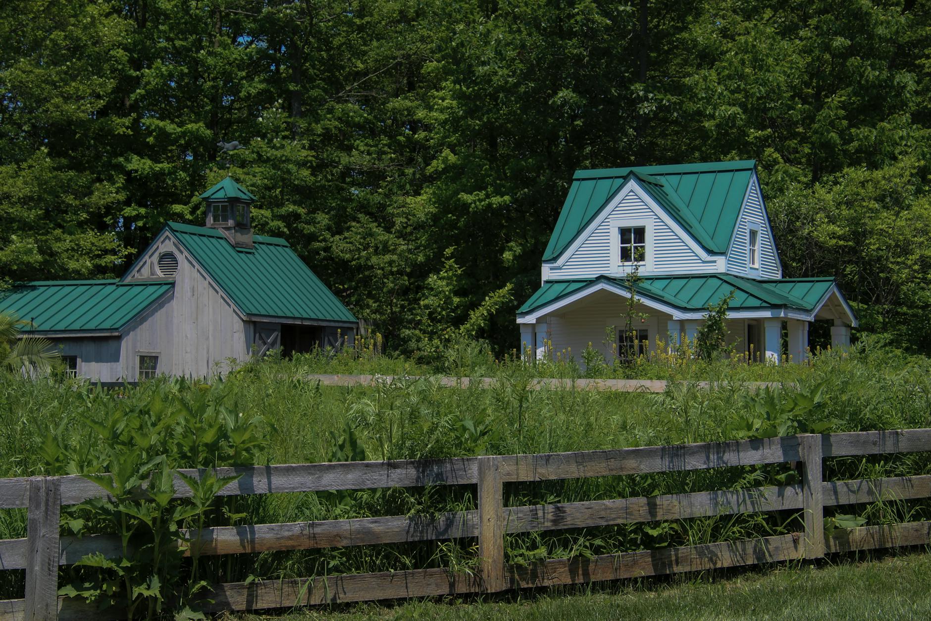 Charming rural scene with a green-roofed house and barn surrounded by lush greenery.
